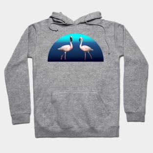 Flamingos - Birds - Kenya / Africa Hoodie